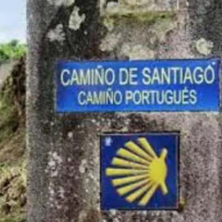 Casa de hóspedes O Descansino Porriño